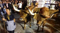 Una pareja de bueyes en el Foli�n de Carros de Chantada del 2019, el �ltimo celebrado hasta ahora