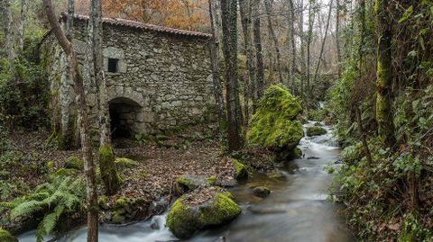 Uno de los dos molinos conocidos por el nombre de Nemesio da Boca