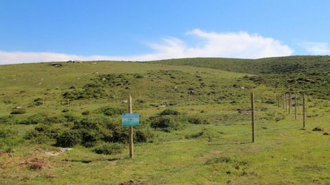 Zona de turberas recuperada en la Serra do Xistral dentro del programa Life in common land