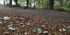 Zona llena de latas y basura recogida por el Concello de Silleda ayer.