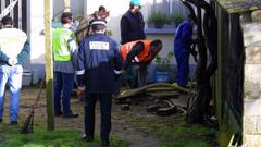 Inspecci�n de la arqueta en la que apareci� el arma del crimen