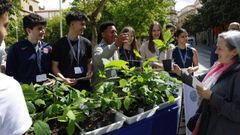 Entrega de �rboles por parte del alumnado de Josefinas.
