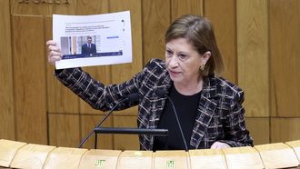 La diputada Elena Espinosa, en una imagen de archivo de una de sus intervenciones ante el pleno del Parlamento.