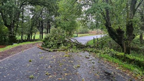 Daos causados por la borrasca Kirk en carreteras provinciales de Ourense