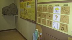 Imagen de una de las salas del Museo de Prehistoria e Arqueolox�a de Vilalba