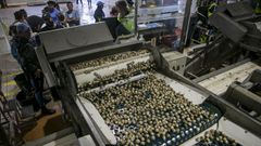 Berberecho en la lonja de Testal