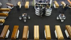 Imagen de la �ltima edici�n de la feria, celebrada en 2018