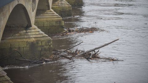 El r�o L�rez, en Pontevedra