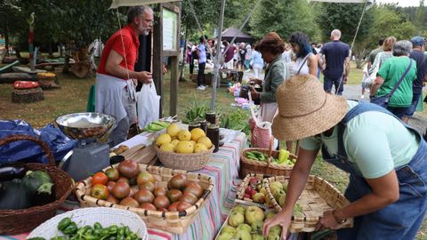 Celebracin da Feira Rural de San Sadurnio