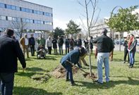 Forestais es uno de los grados con menor demanda a pesar de su vinculaci�n con Pontevedra. 