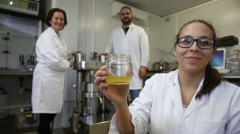 Carmen Salinero, en segundo plano, dirige el equipo de investigadores que ha implementado el innovador sistema. 