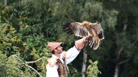 Puy de Fou