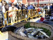 A Pontenova es un referente de la pesca fluvial