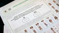 Papeleta para la votaci�n en el referendo
