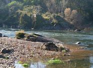 Solo en el curso bajo del Mi�o se documentaron 400 pesqueiras, como la de Chan de Vide (derecha), en la que se analizaron los sedimentos. 