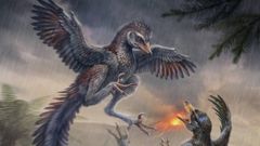 Reconstrucci�n�del ave �Yuezhuornis yangyuanensis�, que vivi� en el Jur�sico Superior hace 150 millones de a�os.