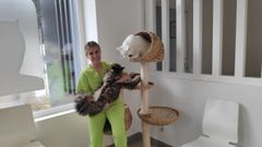 Olalla de Hoyos, veterinaria y gerente en Vets en Casa, en Perillo (Oleiros).