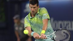 Djocovic no podrá disputar el torneo de Indian Wells