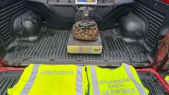 Almeja incautada por la guardia civil en la rotonda de Gandar�o