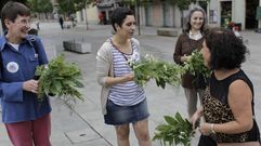 La concejala Avia Veira repartiendo hierbas de San Juan