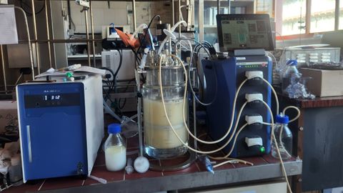 Biorreactor de aceites residuales con el que trabaja este grupo de investigaci�n.
