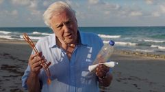 En el �ltimo episodio de Blue Planet 2, Attenborough alerta sobre la amenaza de los pl�sticos