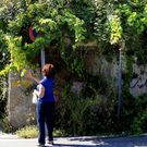 La maleza oculta las se�ales y provoca inseguridad. 