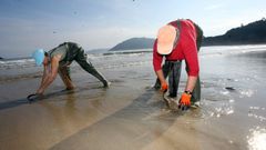 Mariscadoras en A Mar�a, en una foto de archivo