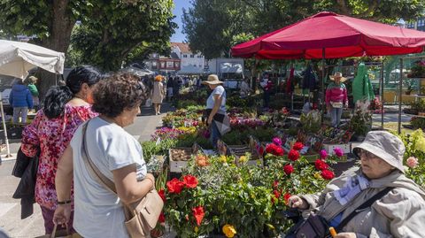 Una bella estampa de uno de los mercados de este mes de junio en Carballo