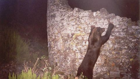 Colinos en el occidente asturiano 