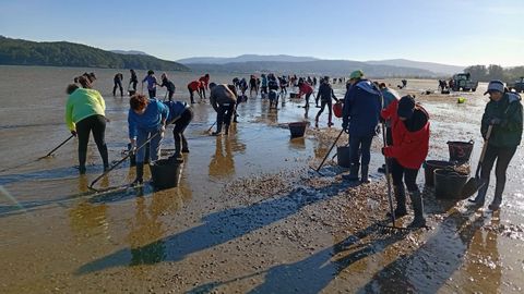 M�s de sesenta mariscadores participaron en la retirada de conchas en Noia