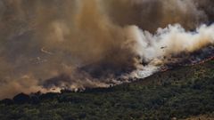 Vista de una espesa columna de humo provocada por el incendio forestal de Burgohondo.