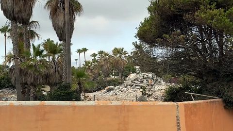 Estado en el que se encuentra la finca de Marbella donde se ubicaba el chal de Antonio Banderas