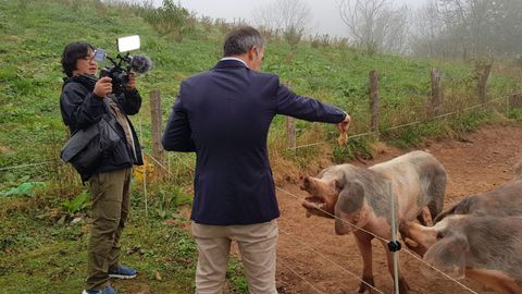 La televisi�n coreana KBS visita al gochu asturcelta