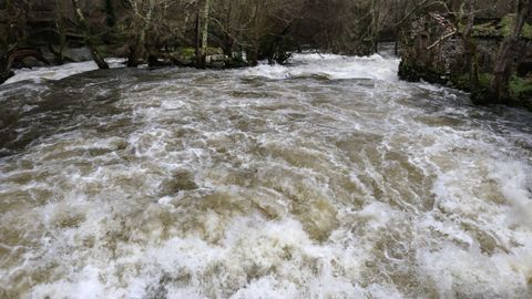 El r�o Anll�ns a su paso por el refugio de Verdes, Coristanco.