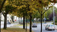 Una de las zonas que se analiz� fueron los �rboles de la Ronda de Fingoi