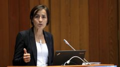 La directora general de Tr�fico, Mar�a Segu�