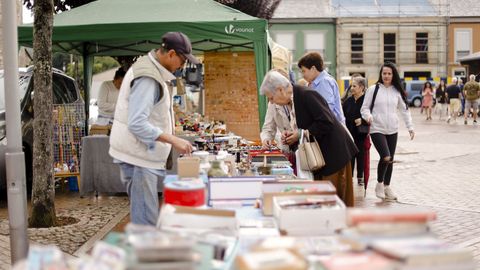 Meira reivindic� los trabajos acestrales del campo en una nueva edici�n de la Festa da Malla.