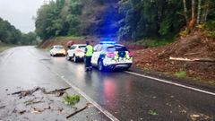 El siniestro se produjo en la carretera LU-615 a primera hora de la ma�ana de este s�bado