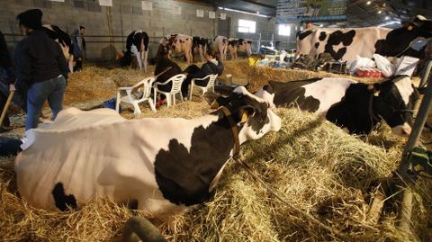 Imaxe da Moexmu celebrada no 2019