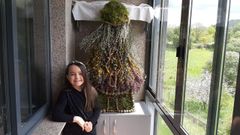 La peque�a Nuria Maus fue la ganadora del concurso de maios de Allariz del 2020
