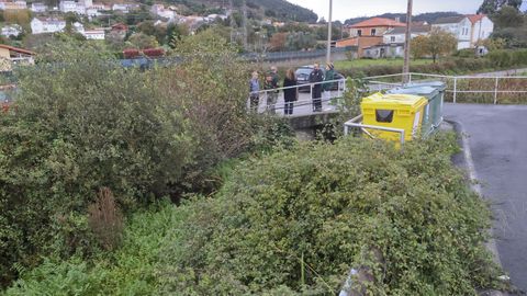 El r�o Basteiro pasa entre las casas cubierto por la maleza, el Concello proceder� a su limpieza con urgencia