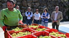 Medio Rural colabora en el control de la entrada de uva for�nea en las cinco denominaciones de origen gallegas durante la vendimia.