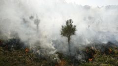 Imagen de archivo de un incendio en la zona de A Revolta