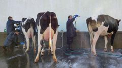 El sector primario es el �nico en el que no aumenta la cifra de desocupados.