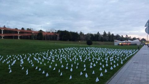 Banderines en la parcela del futuro colegio de Nuevo Roces