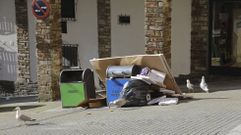 Hace a�os que las gaviotas llegaron a Santiago: en la imagen, cerca de la Praza Roxa