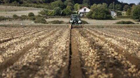 La calidad de los suelos y la sostenibilidad de los cultivos concentran buena parte del esfuerzo investigador que realiza este centro