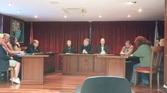 Pleno celebrado en Neda.