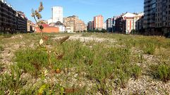 Un aspecto del 'Solar�n' de la playa de v�as antes de su ajardinamiento.